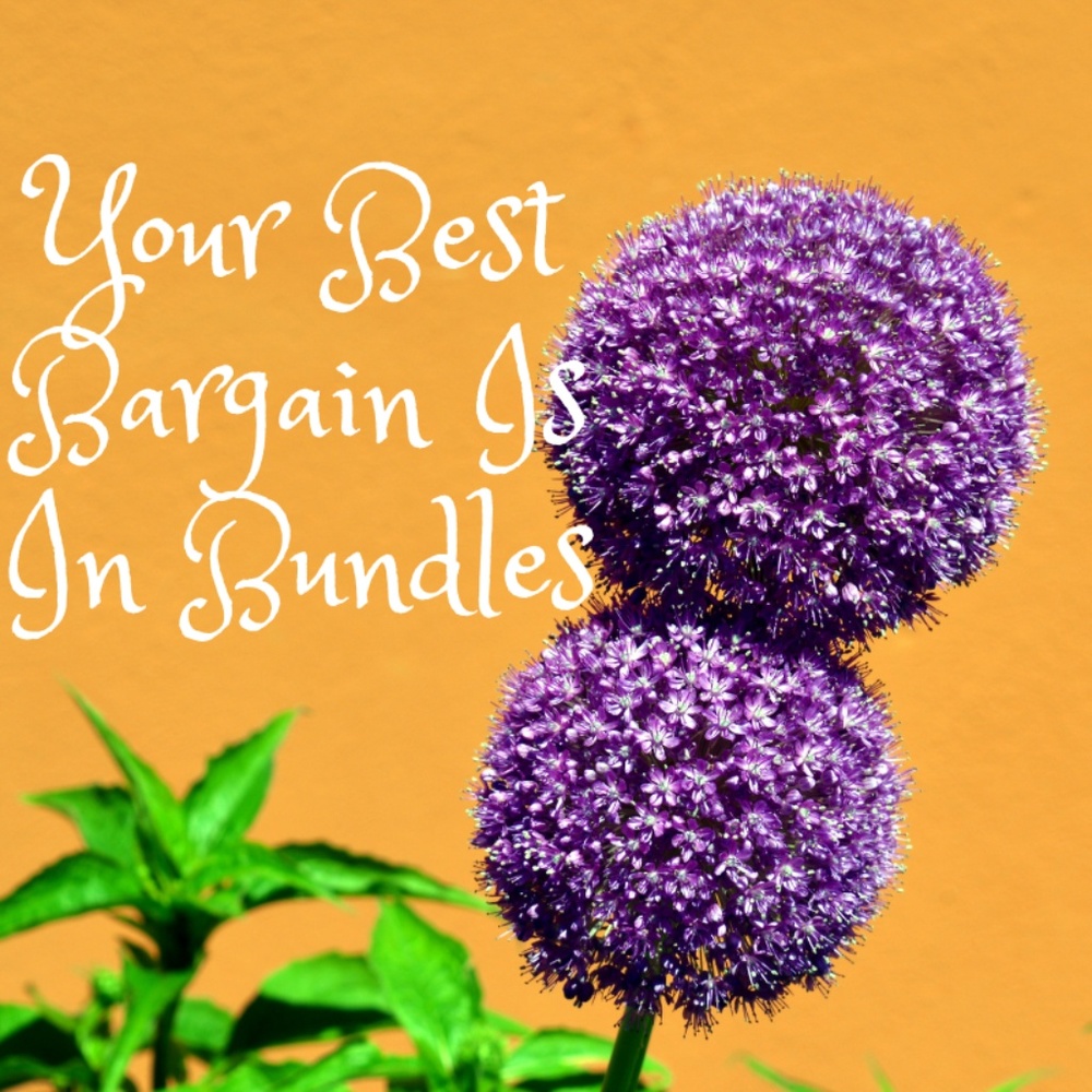 Your Best Bargains Is In Bundles